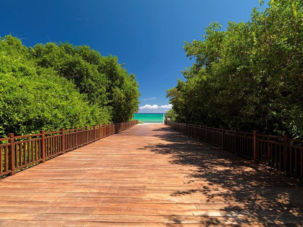 The Reserve Paradisus Playa Del Carmen (Adults Only) 자연 사진