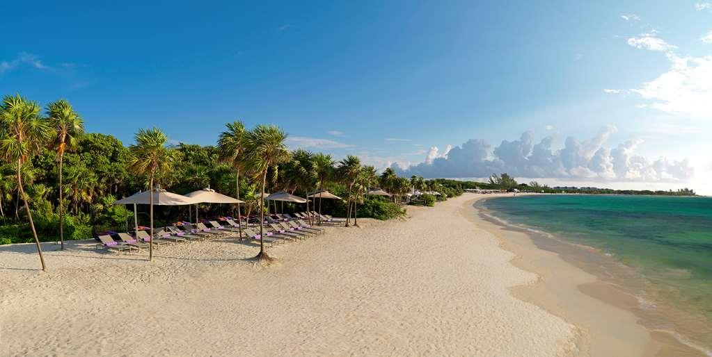 The Reserve Paradisus Playa Del Carmen (Adults Only) 자연 사진